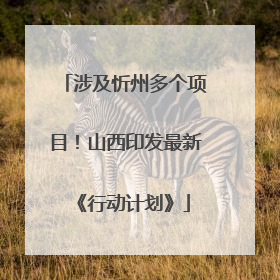 涉及忻州多个项目！山西印发最新《行动计划》