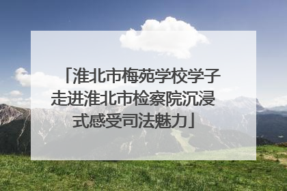 淮北市梅苑学校学子走进淮北市检察院沉浸式感受司法魅力