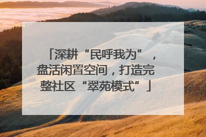 深耕“民呼我为”，盘活闲置空间，打造完整社区“翠苑模式”