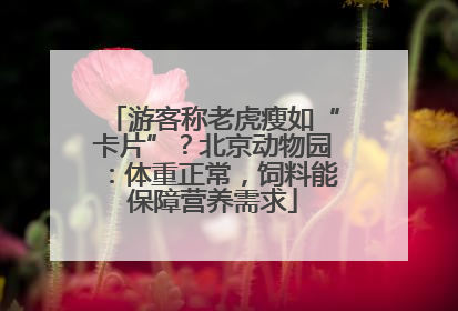 游客称老虎瘦如“卡片”？北京动物园：体重正常，饲料能保障营养需求