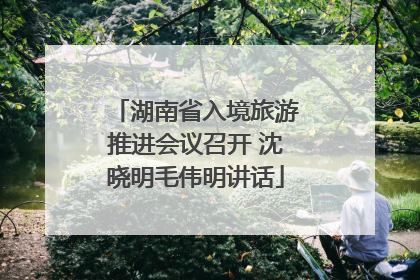 湖南省入境旅游推进会议召开 沈晓明毛伟明讲话