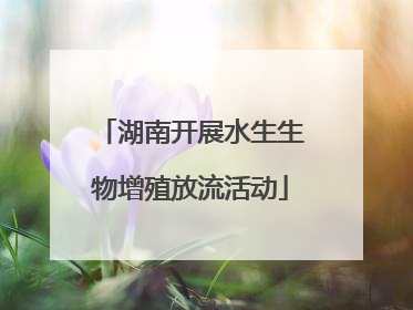 湖南开展水生生物增殖放流活动