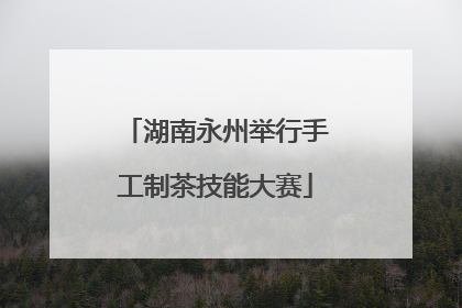 湖南永州举行手工制茶技能大赛