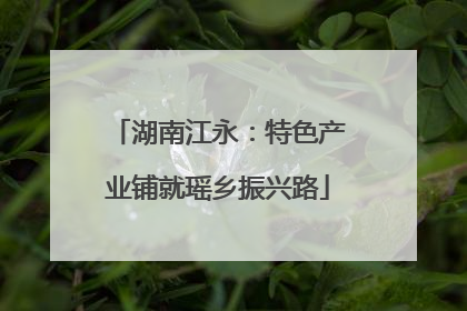 湖南江永：特色产业铺就瑶乡振兴路