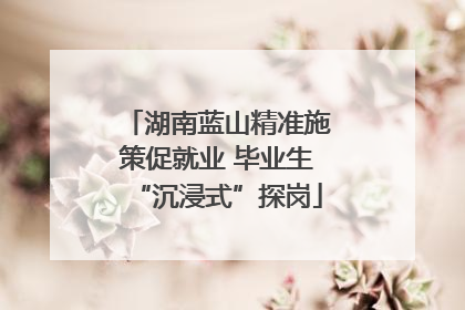湖南蓝山精准施策促就业 毕业生“沉浸式”探岗