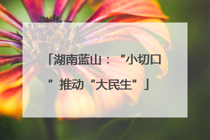 湖南蓝山：“小切口”推动“大民生”