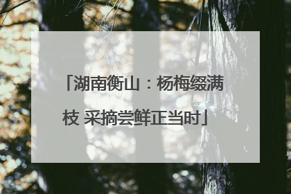 湖南衡山：杨梅缀满枝 采摘尝鲜正当时