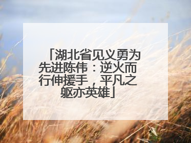 湖北省见义勇为先进陈伟：逆火而行伸援手，平凡之躯亦英雄