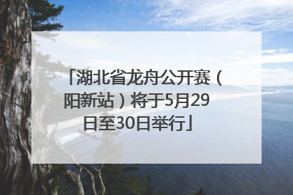 湖北省龙舟公开赛（阳新站）将于5月29日至30日举行