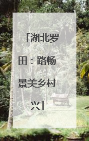 湖北罗田：路畅景美乡村兴