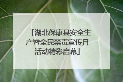 湖北保康县安全生产暨全民禁毒宣传月活动精彩启幕