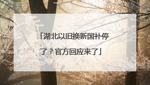 湖北以旧换新国补停了？官方回应来了