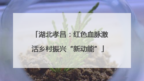湖北孝昌：红色血脉激活乡村振兴“新动能”