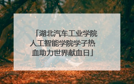 湖北汽车工业学院人工智能学院学子热血助力世界献血日