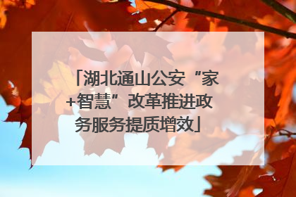 湖北通山公安“家+智慧”改革推进政务服务提质增效