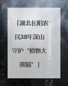 湖北长阳农民38年深山守护“植物大熊猫”