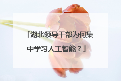 湖北领导干部为何集中学习人工智能？