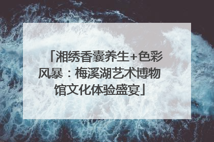湘绣香囊养生+色彩风暴：梅溪湖艺术博物馆文化体验盛宴