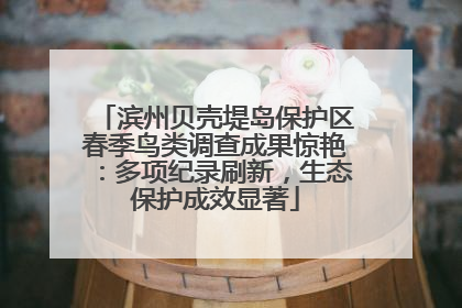 滨州贝壳堤岛保护区春季鸟类调查成果惊艳：多项纪录刷新，生态保护成效显著