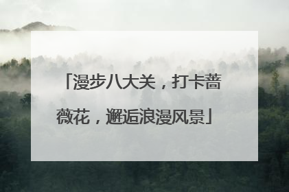 漫步八大关，打卡蔷薇花，邂逅浪漫风景