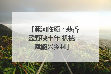 漯河临颍：蒜香盈野映丰年 机械赋能兴乡村