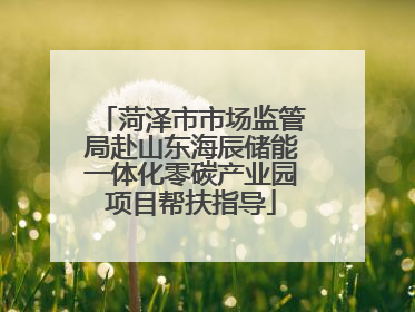 菏泽市市场监管局赴山东海辰储能一体化零碳产业园项目帮扶指导