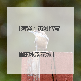 菏泽：黄河臂弯里的水韵花城