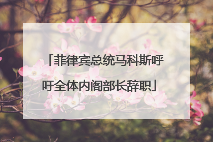 菲律宾总统马科斯呼吁全体内阁部长辞职