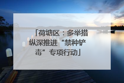 荷塘区：多举措纵深推进“禁种铲毒”专项行动