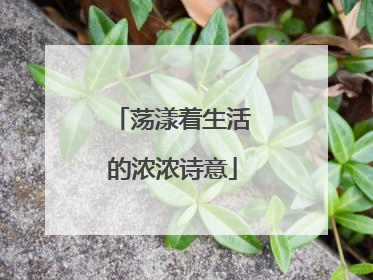 荡漾着生活的浓浓诗意