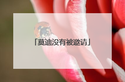 莫迪没有被邀请