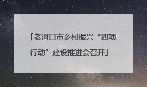 老河口市乡村振兴“四项行动”建设推进会召开