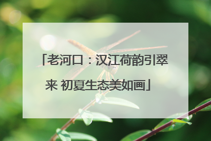 老河口：汉江荷韵引翠来 初夏生态美如画