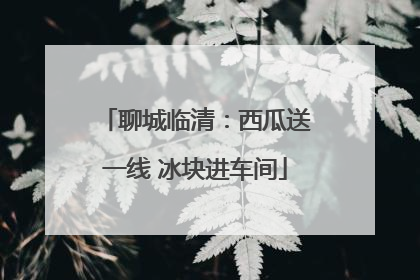 聊城临清：西瓜送一线 冰块进车间