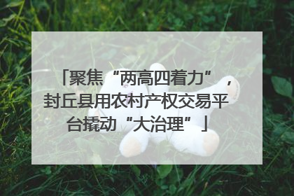 聚焦“两高四着力”，封丘县用农村产权交易平台撬动“大治理”