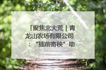 聚焦北大荒｜青龙山农场有限公司：“插前寄秧”助力农业节本增效