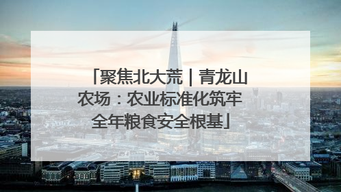 聚焦北大荒｜青龙山农场：农业标准化筑牢全年粮食安全根基