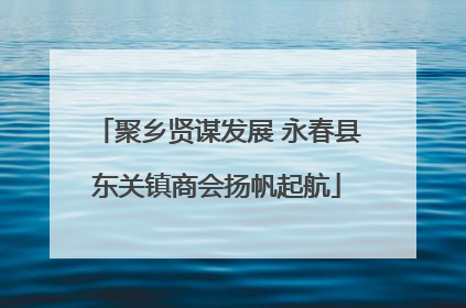 聚乡贤谋发展 永春县东关镇商会扬帆起航