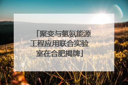 聚变与氢氨能源工程应用联合实验室在合肥揭牌