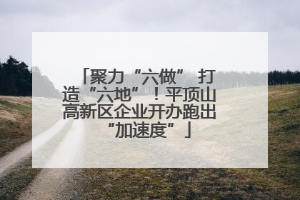 聚力“六做” 打造“六地”！平顶山高新区企业开办跑出“加速度”