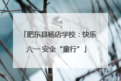 肥东县杨店学校：快乐六一 安全“童行”