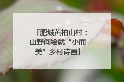 肥城黄柏山村：山野间绘就“小而美”乡村诗画