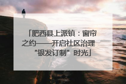 肥西县上派镇：窗帘之约——开启社区治理“银发订制”时光
