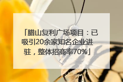 腊山复利广场项目：已吸引20余家知名企业进驻，整体招商率70%