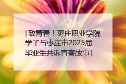 致青春！枣庄职业学院学子与枣庄市2025届毕业生共诉青春故事