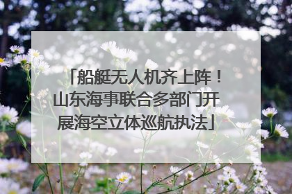 船艇无人机齐上阵！山东海事联合多部门开展海空立体巡航执法