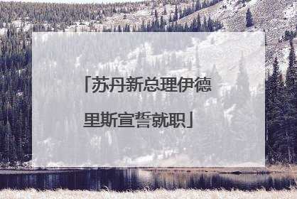 苏丹新总理伊德里斯宣誓就职