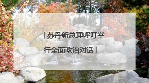 苏丹新总理呼吁举行全面政治对话