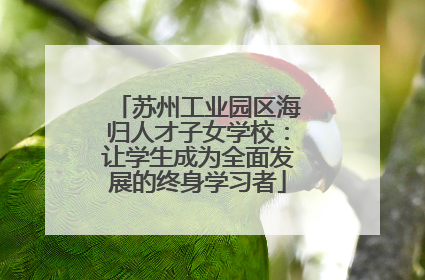 苏州工业园区海归人才子女学校：让学生成为全面发展的终身学习者
