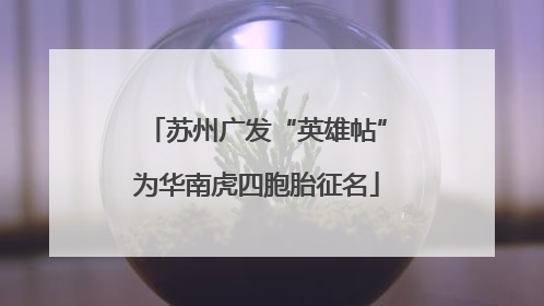 苏州广发“英雄帖”为华南虎四胞胎征名